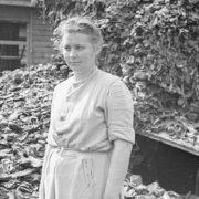 جيني باركمان