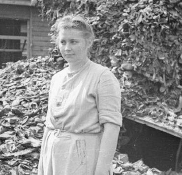 جيني باركمان