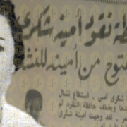 أمينة شكري نائبة البرلمان