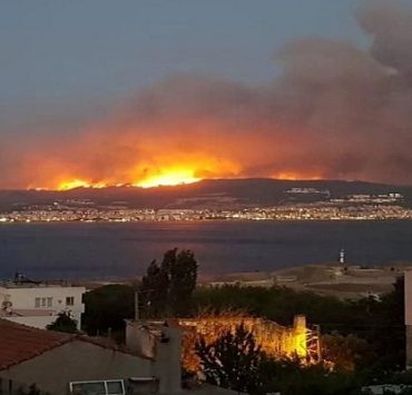 حريق الجزائر