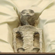 كائنات فضائية