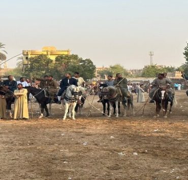 المرماح في الصعيد