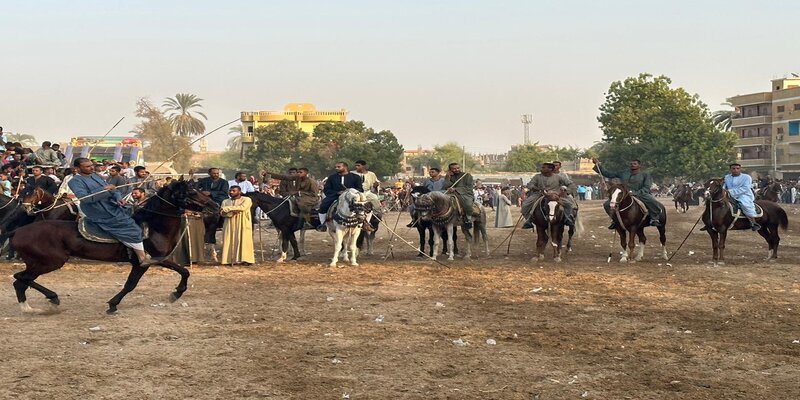 ” المرماح”.. موروث شعبي ارتبط بالفروسية وموالد الأولياء في جنوب مصر المرماح في الصعيد