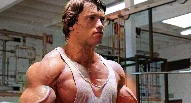 أرنولد شوارزنيجر