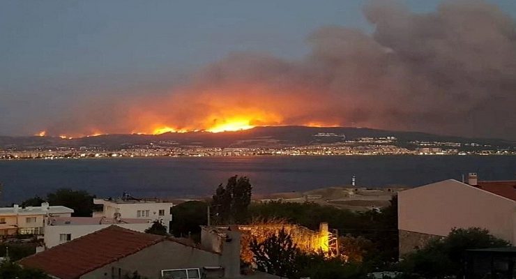 حريق الجزائر