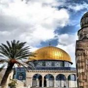 القضية الفلسطينية