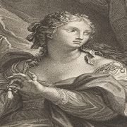 حليب الحمير