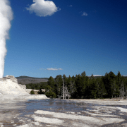 تاريخ شارع عمر المختار في غزة