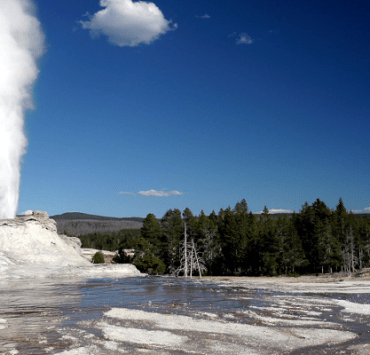 تاريخ شارع عمر المختار في غزة