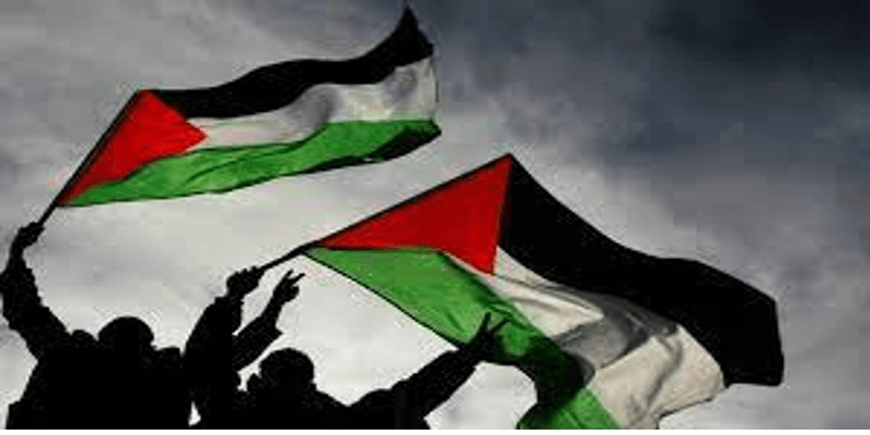 دع المشاعر تتصرف مع قضية فلسطين.. فاللامبالاة للجبناء فلسطين