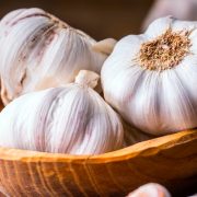 مصاصي الدماء