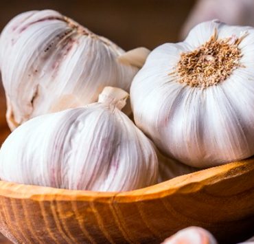 مصاصي الدماء