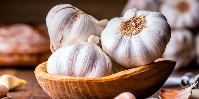 مصاصي الدماء