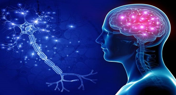 الاضطرابات العصبية