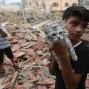 الحيوانات في غزة