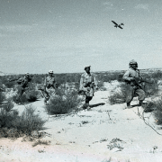 صهاينة في صحراء النقب