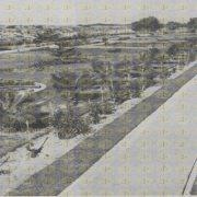 صور نادرة لغزة