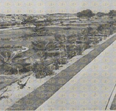 صور نادرة لغزة