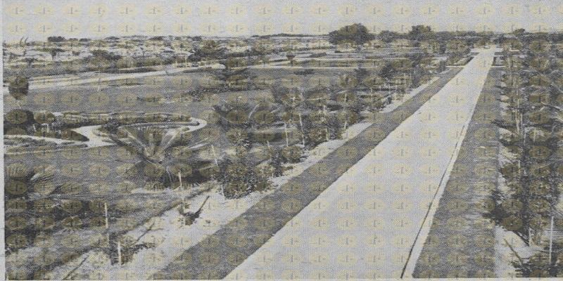 صور نادرة لغزة