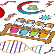 العلماء المسلمين