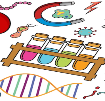 العلماء المسلمين