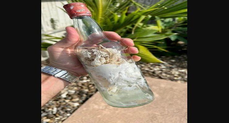 زجاجات السحرة