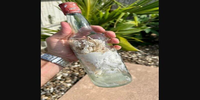 تعويذات وأرواح شريرة.. زجاجات السحرة تُثير الجدل في أمريكا زجاجات السحرة