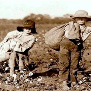 العبيد الأيرلنديين