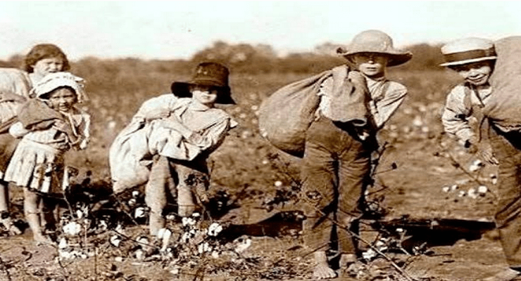 العبيد الأيرلنديين