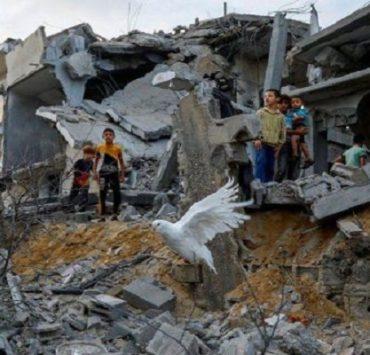 “موسم الطلاق”.. زيجات فنية انتهت بالانفصال الهدنة في غزة