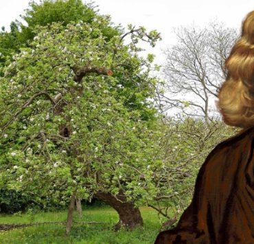 زمن الكاسيت .. عشر أغنيات سقطت سهوًا من مركب النوستالجيا نيوتن