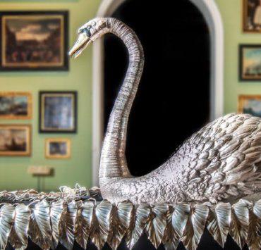 البجعة الفضية