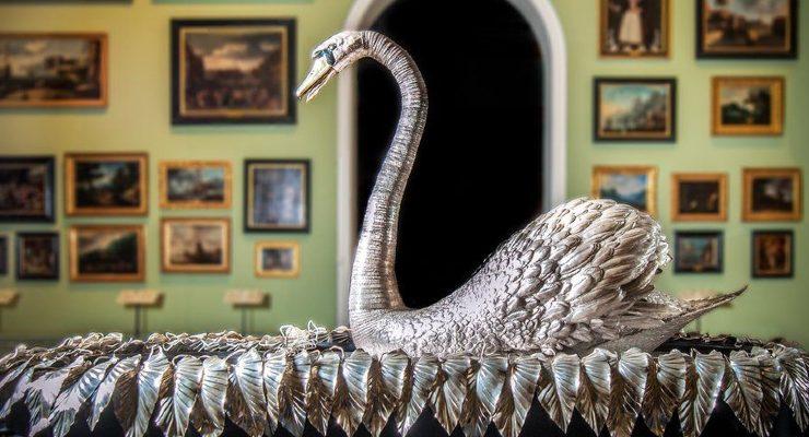 البجعة الفضية