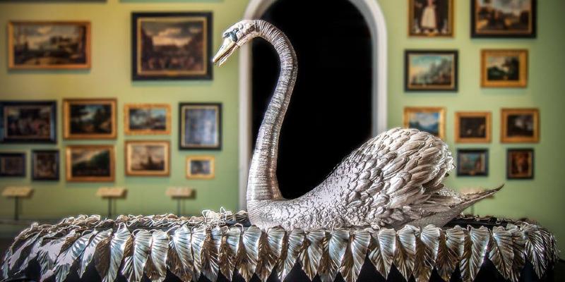 البجعة الفضية