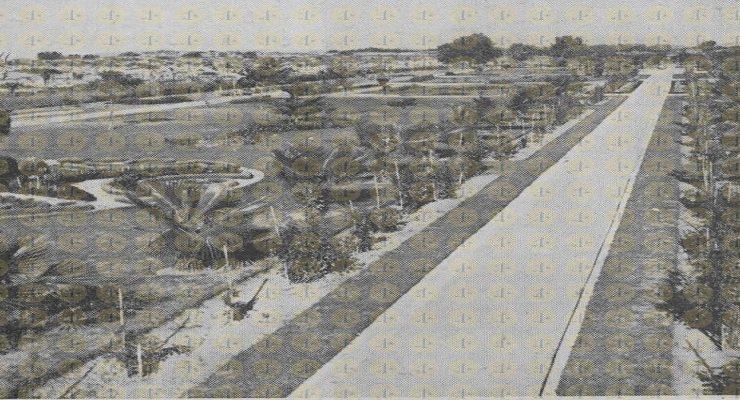 صور نادرة لغزة