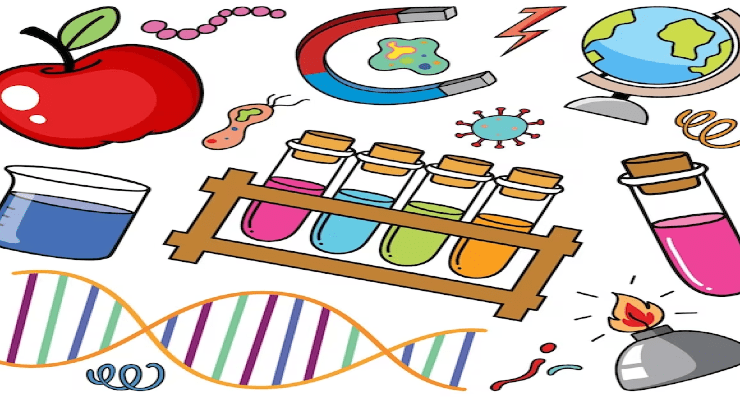 العلماء المسلمين