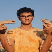 المغامر محمد وجيه