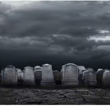 مطعم ماكدونالدز في “وسط اللا مكان” يثير نظريات المؤامرة زينهم