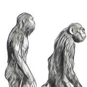 من أمام المزبلة .. مقال وحكاية يرويها الصحفي اللبناني وائل البحار