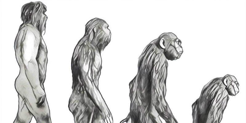 من أمام المزبلة من أمام المزبلة .. مقال وحكاية يرويها الصحفي اللبناني وائل البحار