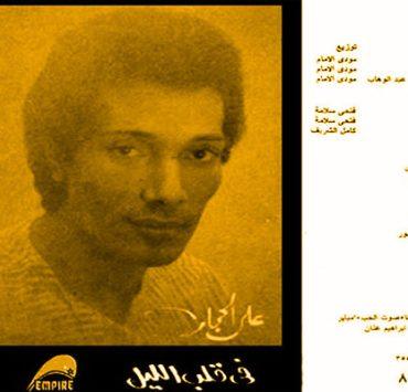 القطط بسبعة أرواح حقيقة أم أسطورة؟ القطط بسبع أرواح