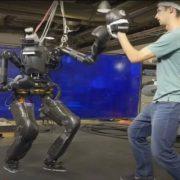 الريبورد نادية