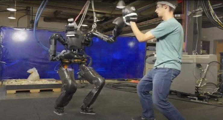 الريبورد نادية