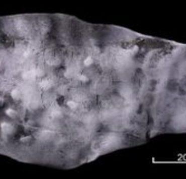 امرأة كورية جنوبية تتبنى صديقتها حتى يتمكنوا من الاعتناء ببعضهم البعض كعائلة لوح اللعنة