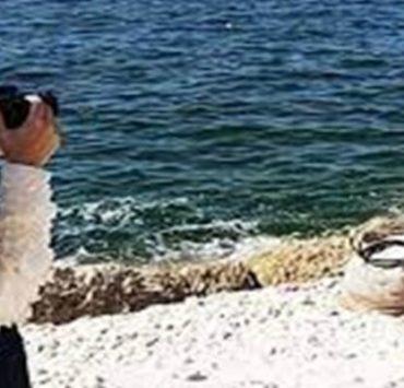 صداقة عمرها أكثر من عقدين بين غواص وقرش نمر يبلغ طوله 15 قدمًا أول مصورة كفيفة