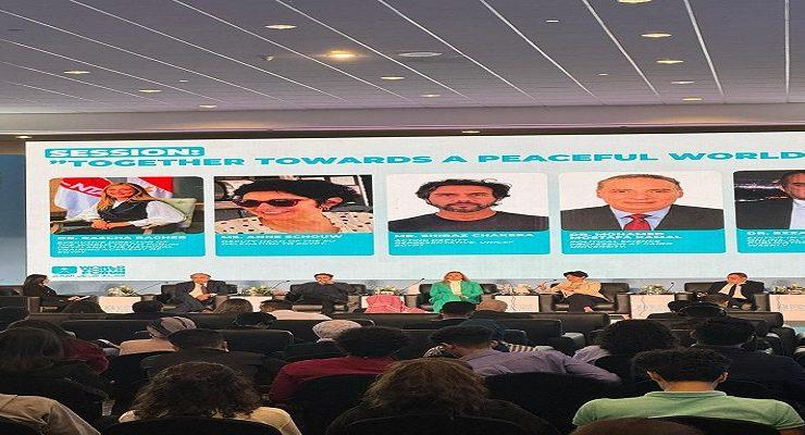 محاكاة الأمم المتحدة