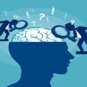 معلومات عن الذاكرة