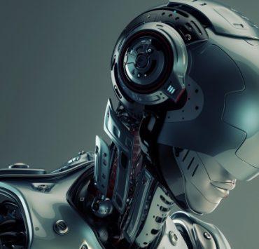 القطط بسبعة أرواح حقيقة أم أسطورة؟ آلية