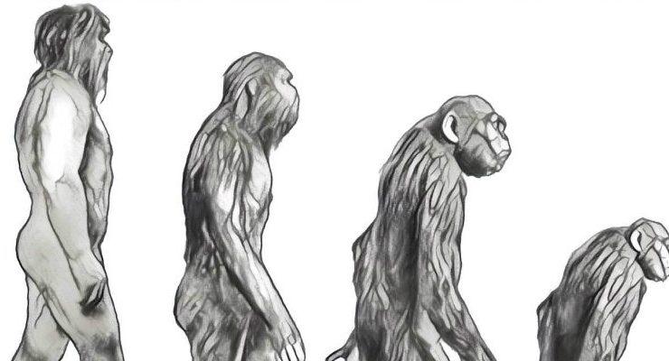 من أمام المزبلة .. مقال وحكاية يرويها الصحفي اللبناني وائل البحار