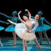 الجمال النائم